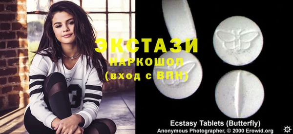 гашик Алексин