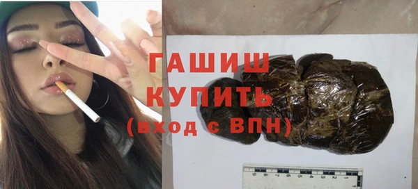 гашик Алексин