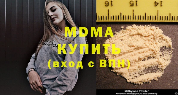гашик Алексин