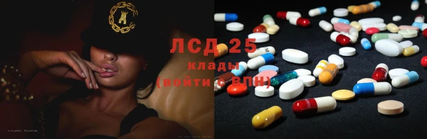 гашик Алексин