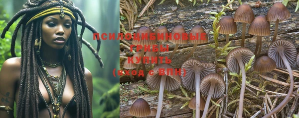 ГАЛЛЮЦИНОГЕННЫЕ ГРИБЫ Алзамай