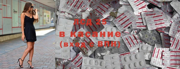 гашик Алексин