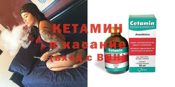 гашик Алексин
