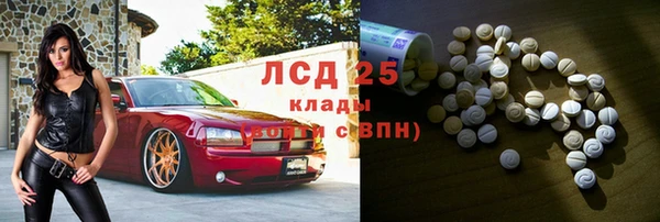 ГАЛЛЮЦИНОГЕННЫЕ ГРИБЫ Алзамай