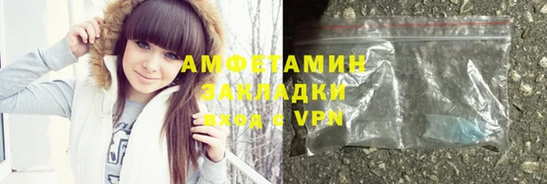 гашик Алексин