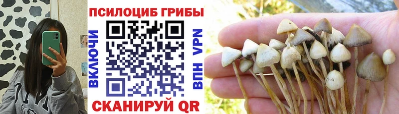 Галлюциногенные грибы мицелий  купить закладку  Грязи 