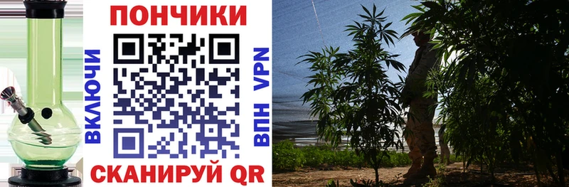 Бошки Шишки THC 21%  Грязи 